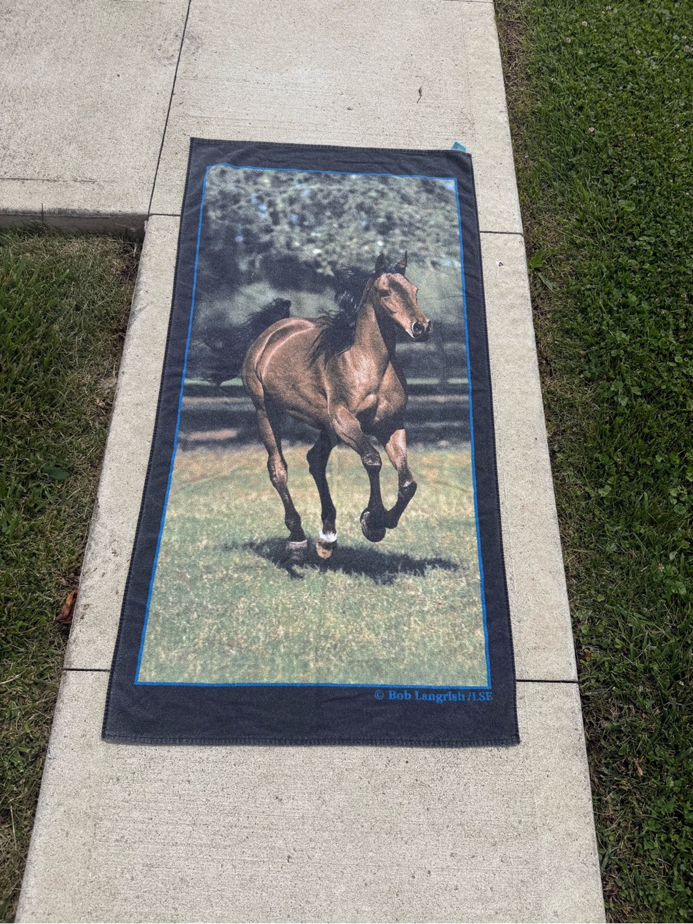 Vintage Bob Langrish Horse Beach Towel